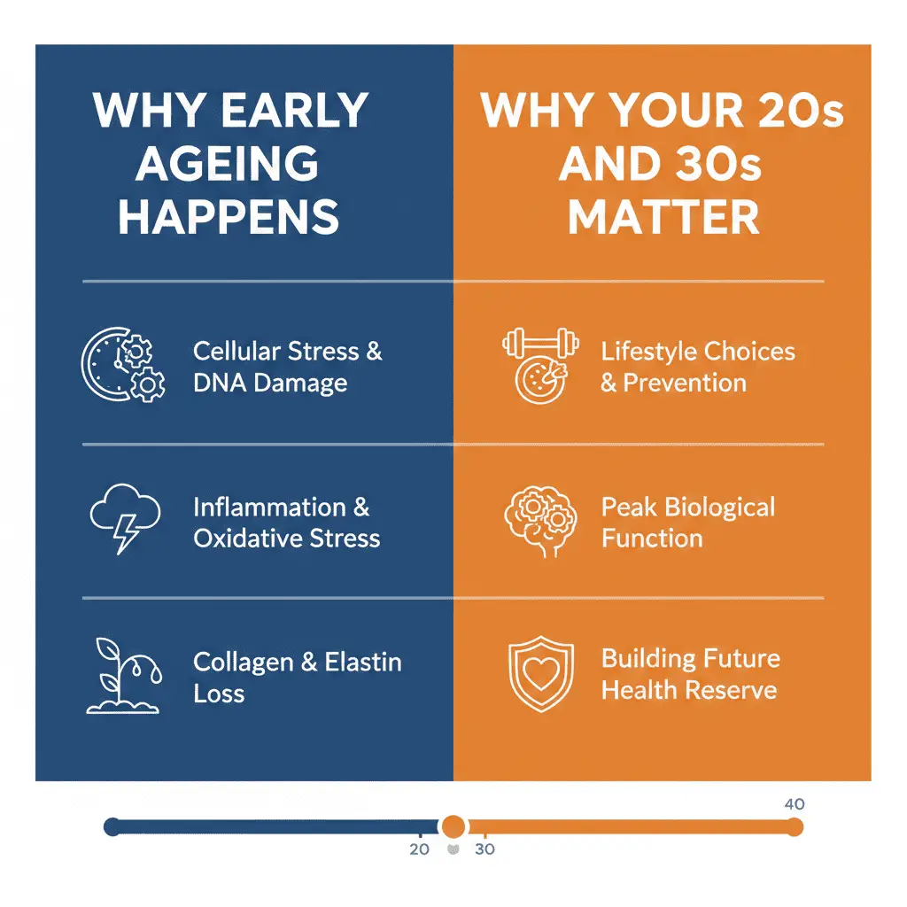 Why Early Ageing Happens and Why Your 20s and 30s Matter." Key reasons for early aging listed: Cellular Stress & DNA Damage, Inflammation & Oxidative Stress, and Collagen & Elastin Loss. Importance of 20s and 30s listed: Lifestyle Choices & Prevention, Peak Biological Function, and Building Future Health Reserve.